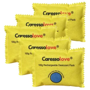 100g Desiccant Packets Rechargeable - Silica Gel Moisture Absorbers Packs for Storage - Desiccant Bag Color Changing for Moisture Control - Reusable Dehumidifier for Closet, Car, Safes (5 Packs)