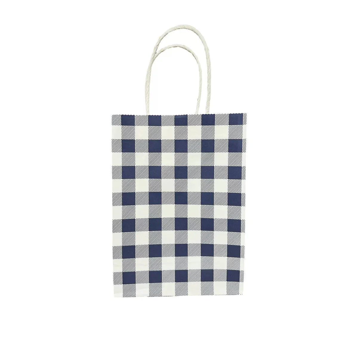 10pcs Blue Gingham Paper Gift Bags