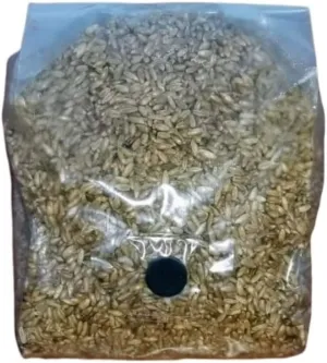 3 LB Rye Sterilized Grain Bag with Injection Port - Make Your Own Master Grain Spawn