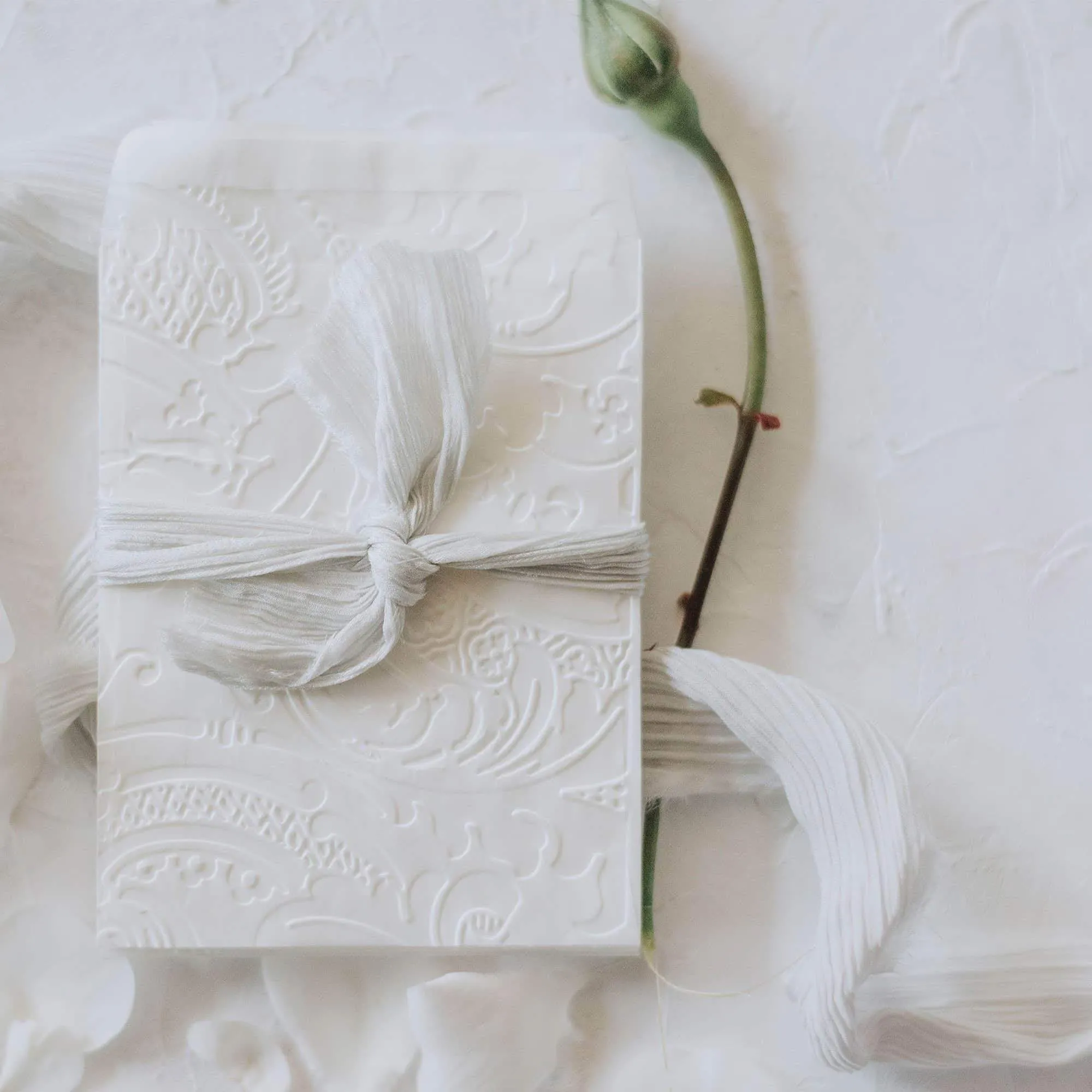 Acanthus Embossed Confetti Envelopes | 12 Pk