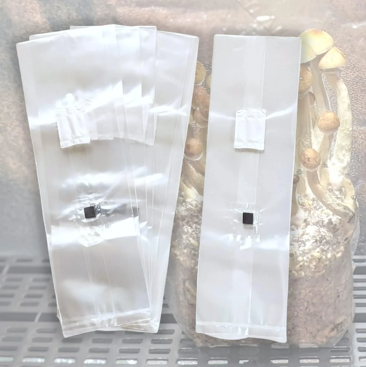 AMIATCH Mushroom Grow Bags with Injection Port, CO2 Filter, 3 Mil Thickness. Pack of 10 Professional Injection Port Grow Bags | autoclavable