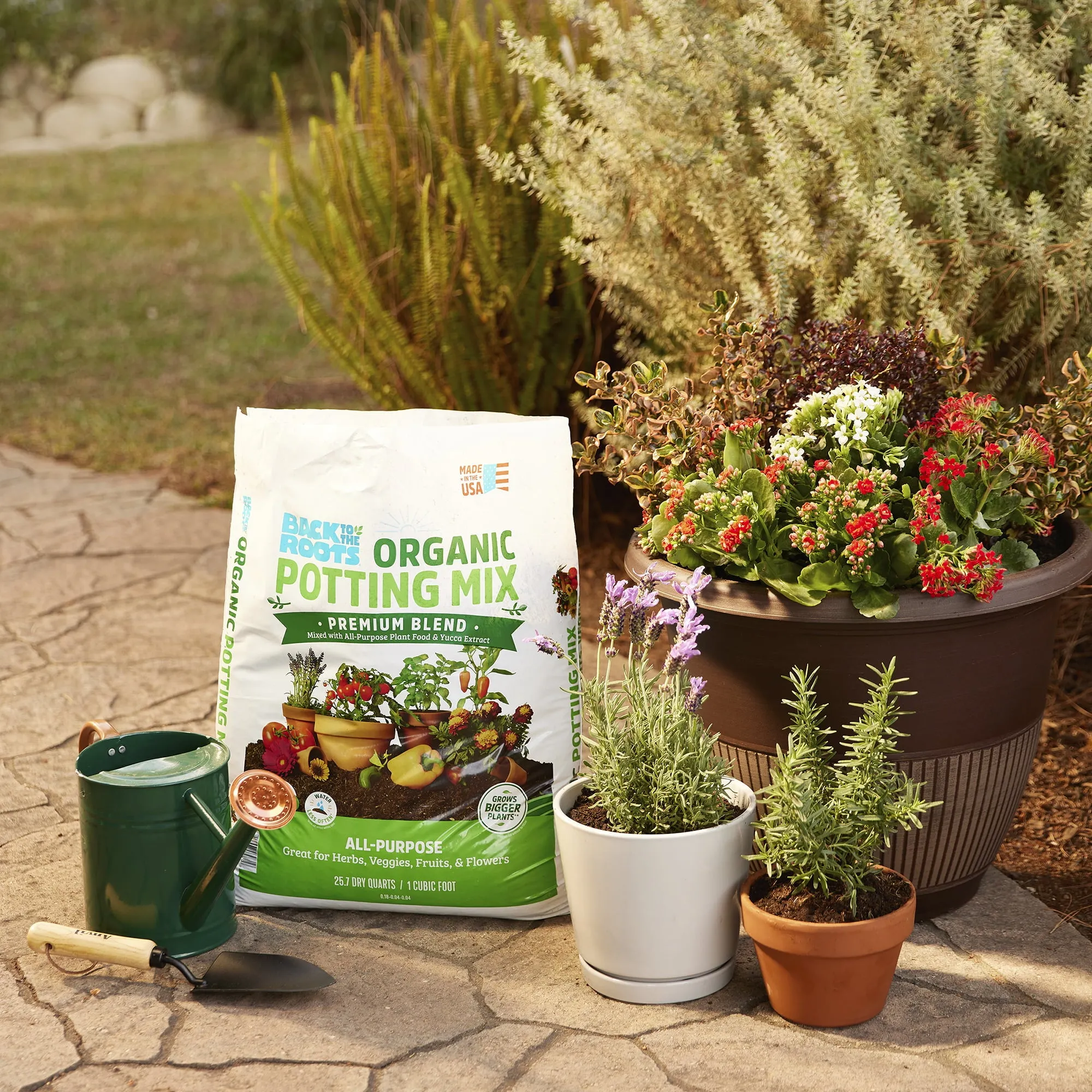 Back to the Roots Organic Premium Blend All-Purpose Potting Mix Soil, 1 Cubic Ft