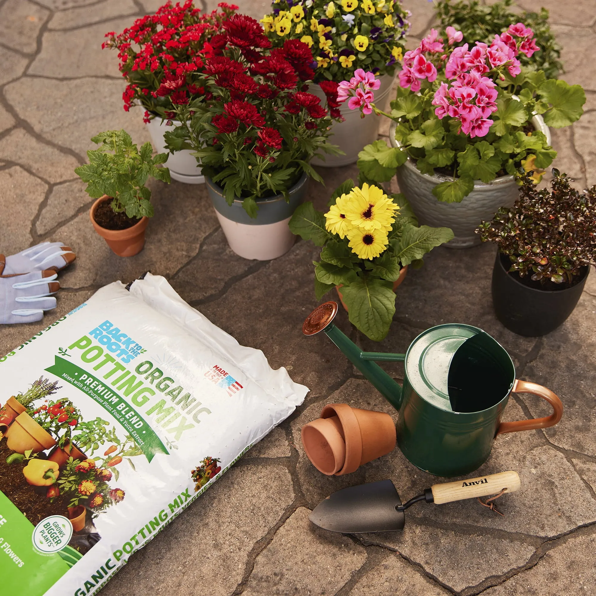 Back to the Roots Organic Premium Blend All-Purpose Potting Mix Soil, 1 Cubic Ft