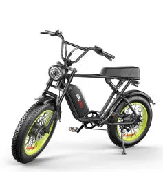 C91-20 Inch Dual-drive High-speed Electric Bike