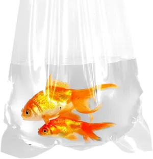 Fishery Bags 10 Inches Leak Proof Rounded Bottom Corners Clear Plastic Fish Bags for Marine and Tropical Fish Transport. (10" x 20" / 50 Pack / 3 Mil)
