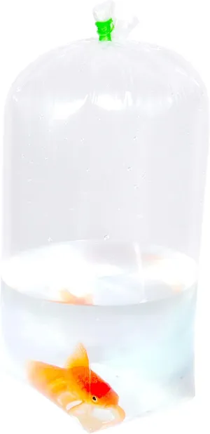 Fishery Bags Leak Proof Flat Bottom Clear Plastic Fish Bags for Tropical and Marine Fish Transport 2 Mil. (9" x 8" x 26" / 50 Pack)