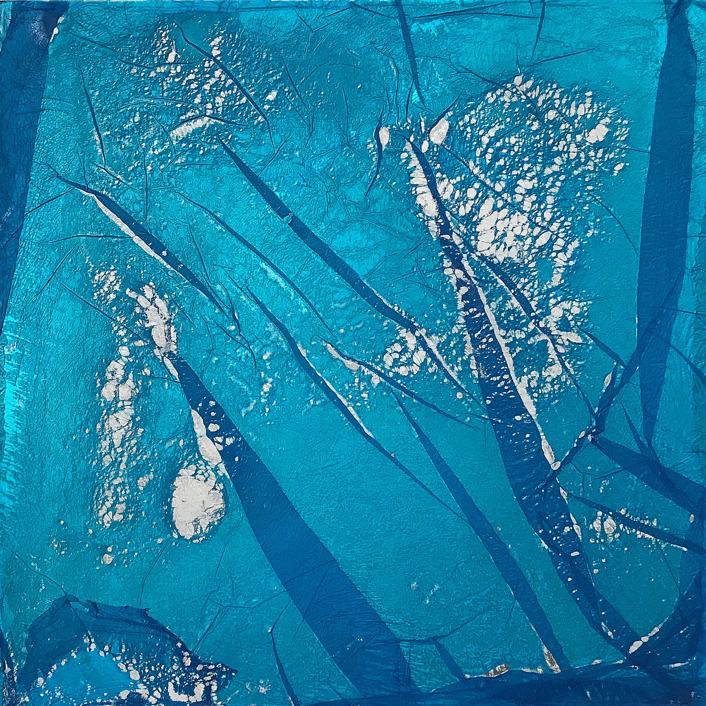 Ivan Stojakovic, "Blue vs Blue S10"