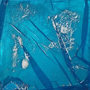 Ivan Stojakovic, "Blue vs Blue S10"