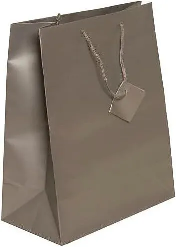 JAM PAPER Gift Bags with Rope Handles - Large - 10 x 13 x 5 - Silver Matte - 3/Pack
