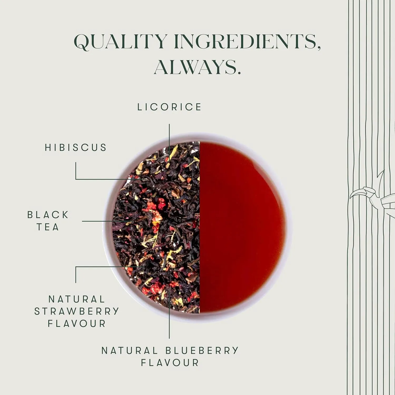 Luxmi Estates Hibis-Kiss Organic Hibiscus Tea (50 Tea Bags) Caffeinated Tea Bags For A Morning Boost and Natural Energy, With Certified Organic Black Tea