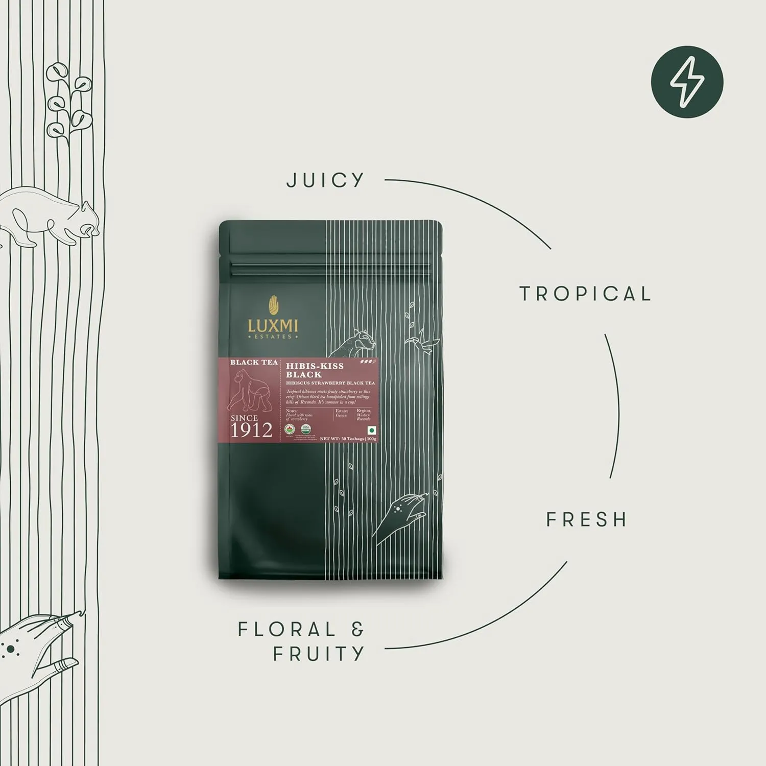 Luxmi Estates Hibis-Kiss Organic Hibiscus Tea (50 Tea Bags) Caffeinated Tea Bags For A Morning Boost and Natural Energy, With Certified Organic Black Tea