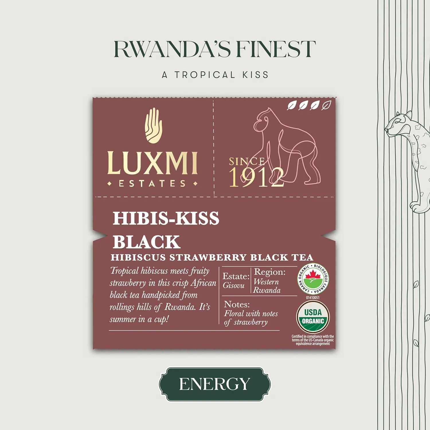 Luxmi Estates Hibis-Kiss Organic Hibiscus Tea (50 Tea Bags) Caffeinated Tea Bags For A Morning Boost and Natural Energy, With Certified Organic Black Tea