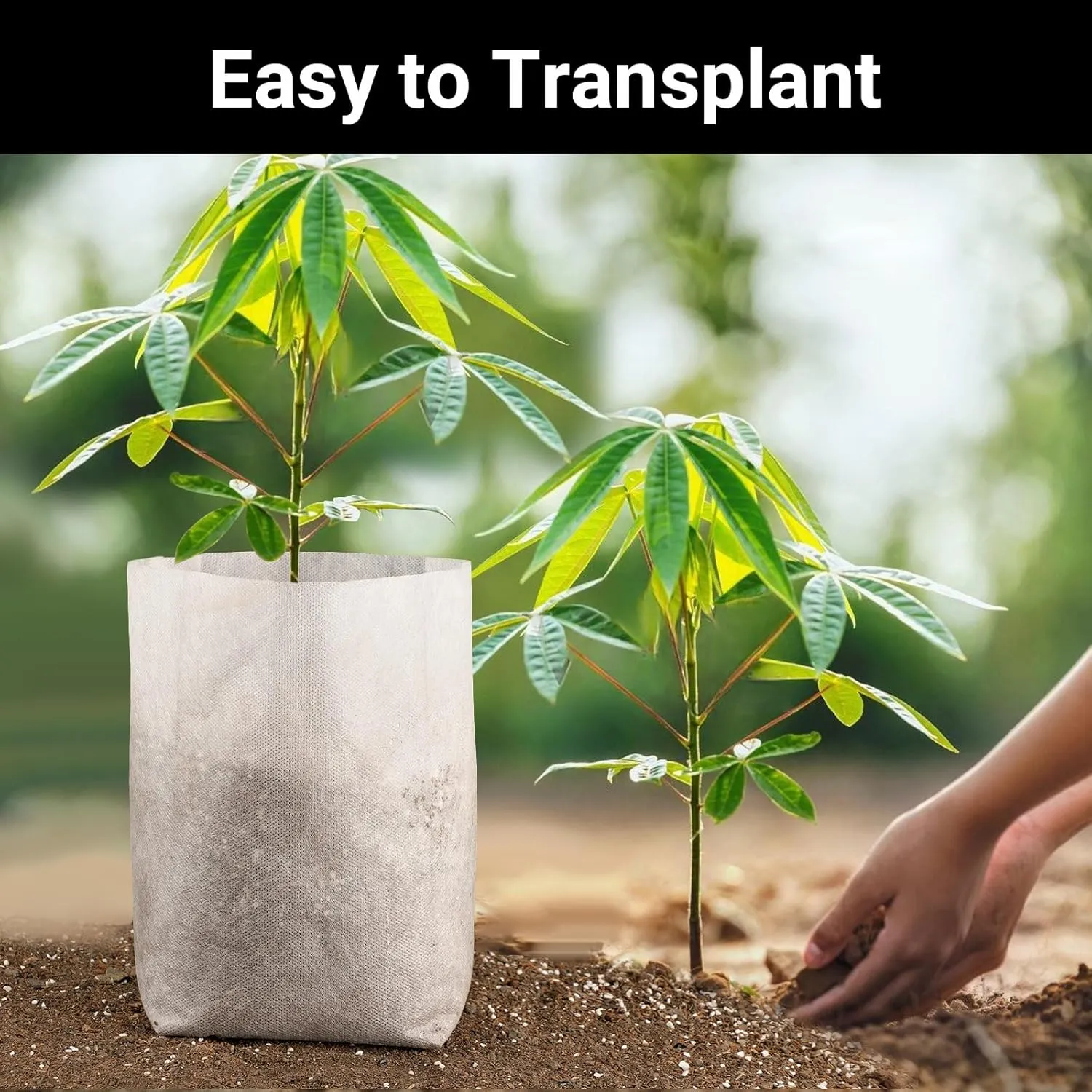 Nursing Growing Pouch, 200pcs 11 x 11.8 in Plant Non-Woven Nursery Bags Large, Fabric Seedling Plant Grow Bags, Seed Starting Planting Growing for Home Garden Supply