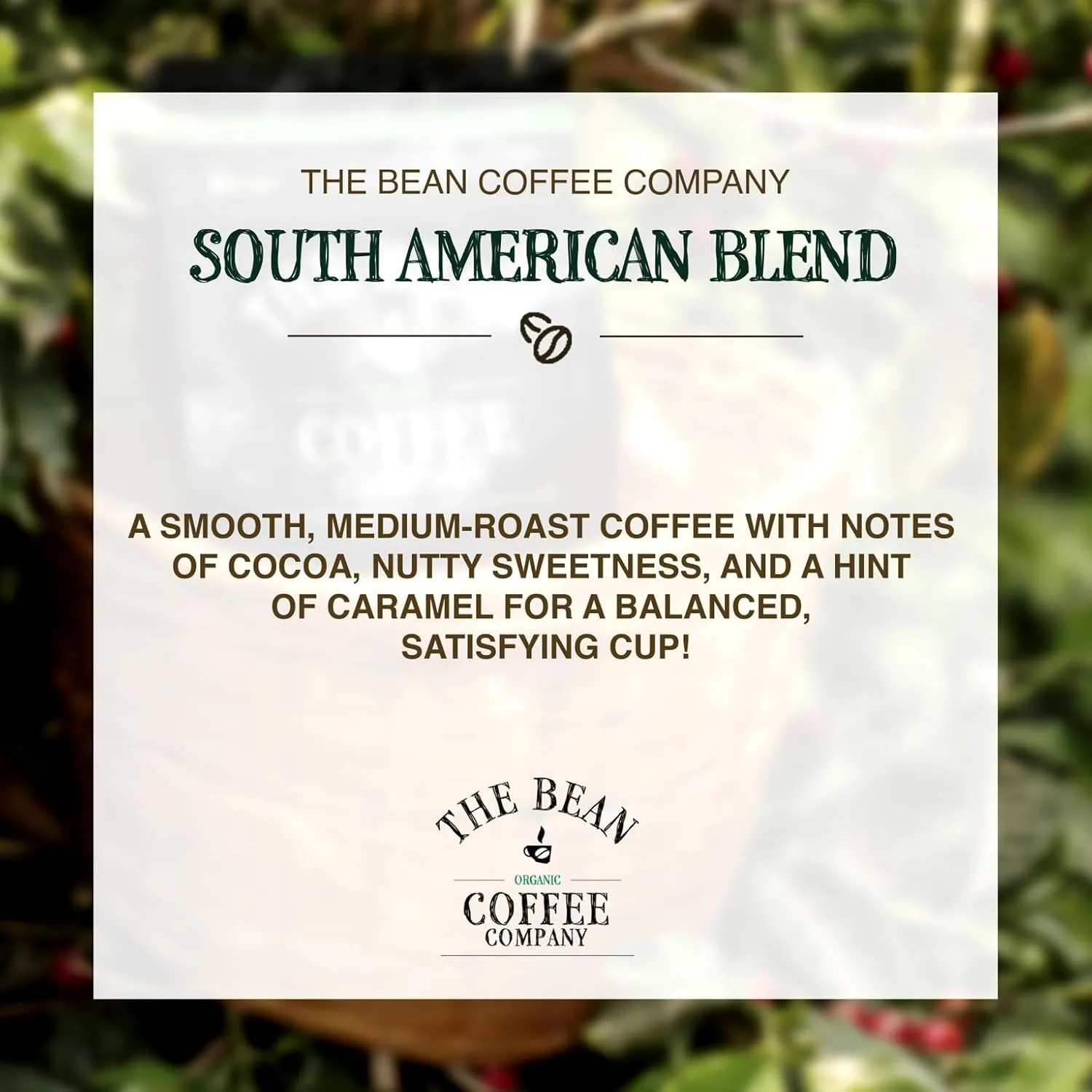 The Bean Organic Coffee Company South America, Medium Roast, Whole Bean Coffee, 16-Ounce Bags (Pack of 2)