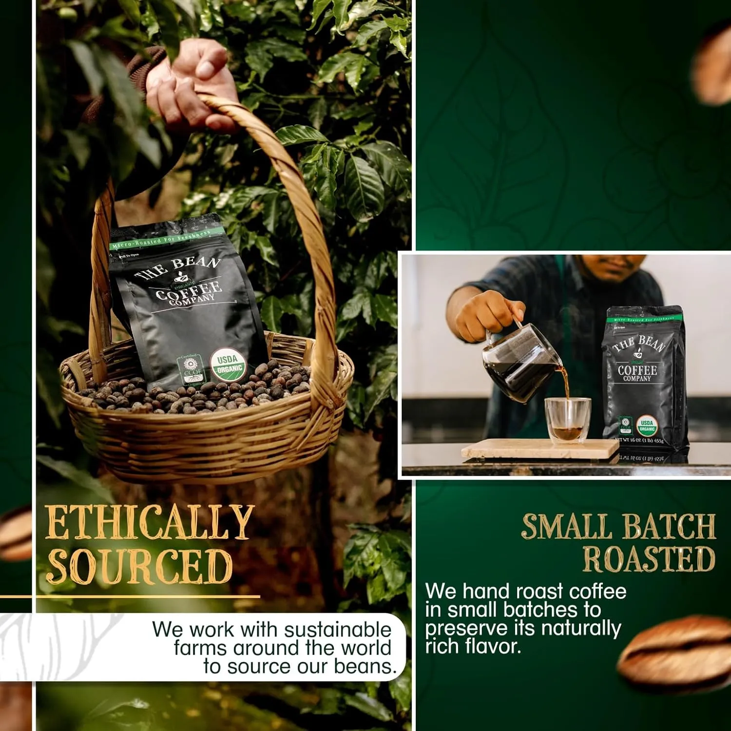 The Bean Organic Coffee Company South America, Medium Roast, Whole Bean Coffee, 16-Ounce Bags (Pack of 2)