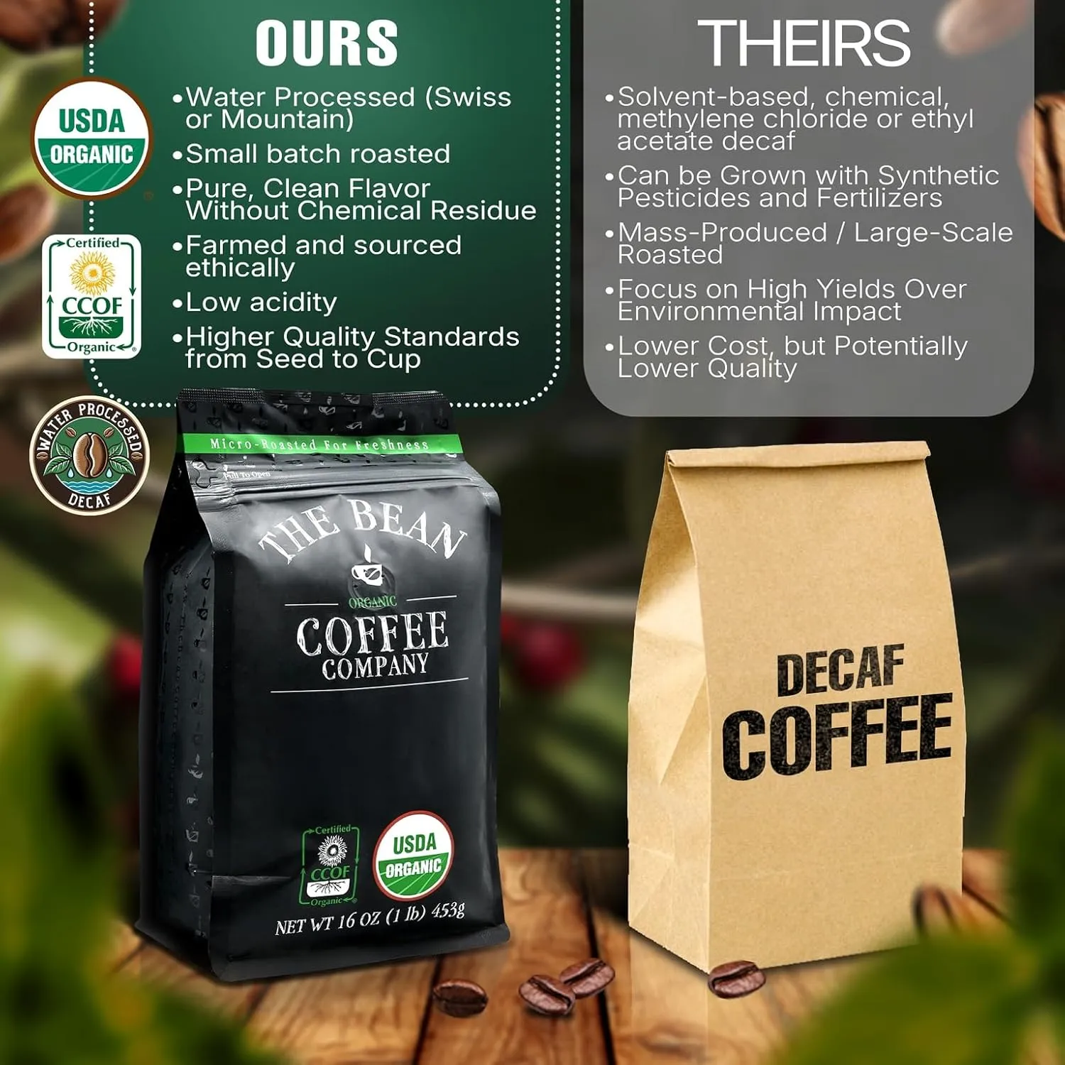 The Bean Organic Coffee Company Water Processed DECAF South America Blend, Medium Roast, Ground Coffee, 16-Ounce Bags (Pack of 2), Café Molido Tostado Orgánico descafeinado