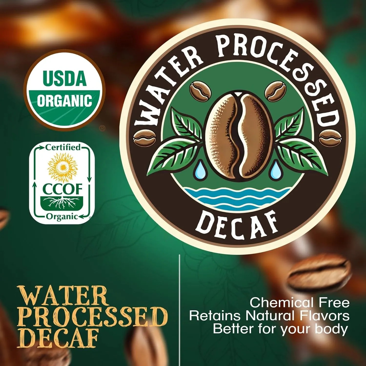 The Bean Organic Coffee Company Water Processed DECAF South America Blend, Medium Roast, Ground Coffee, 16-Ounce Bags (Pack of 2), Café Molido Tostado Orgánico descafeinado